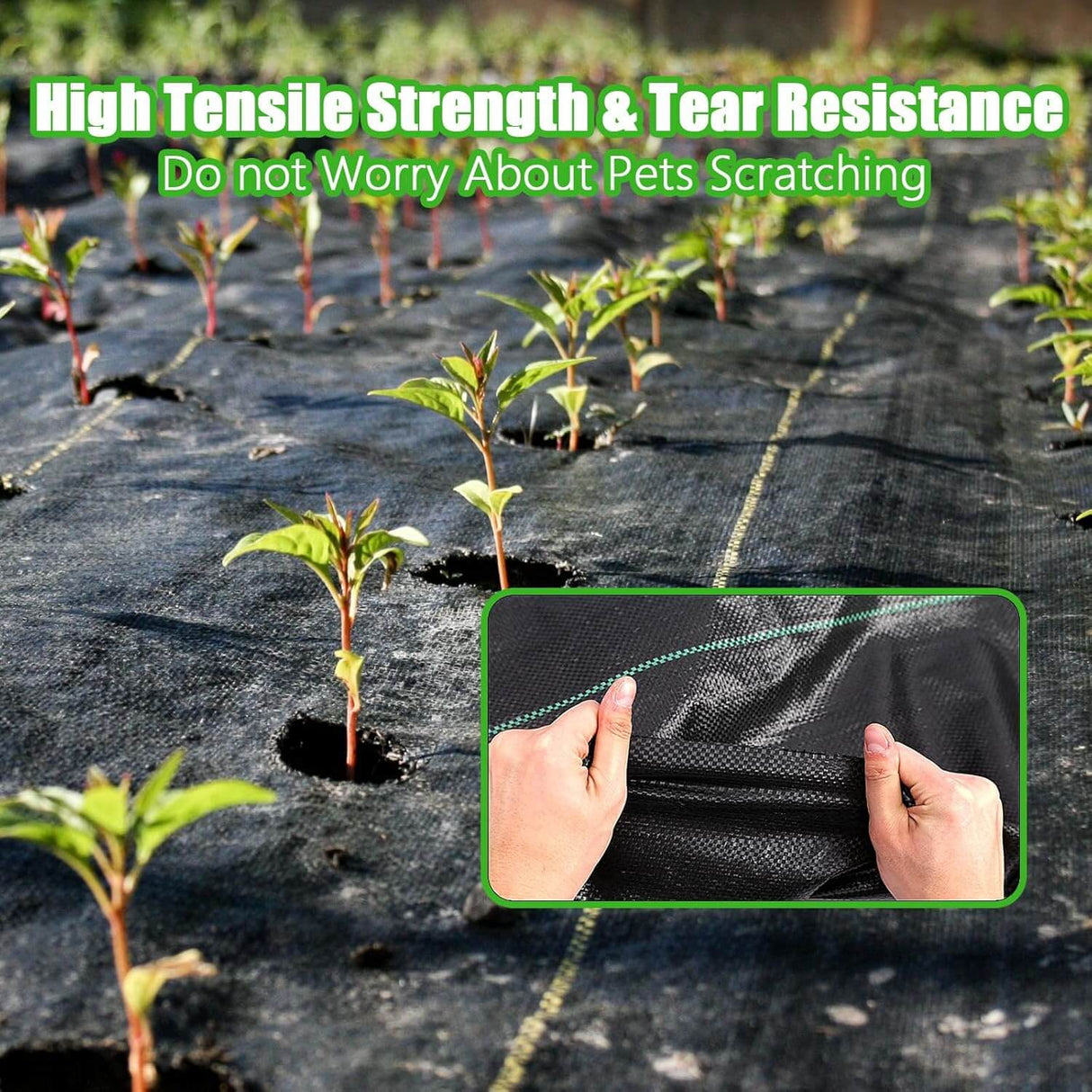 Weed Barrier Landscape Fabric - In Use | Besea Cone